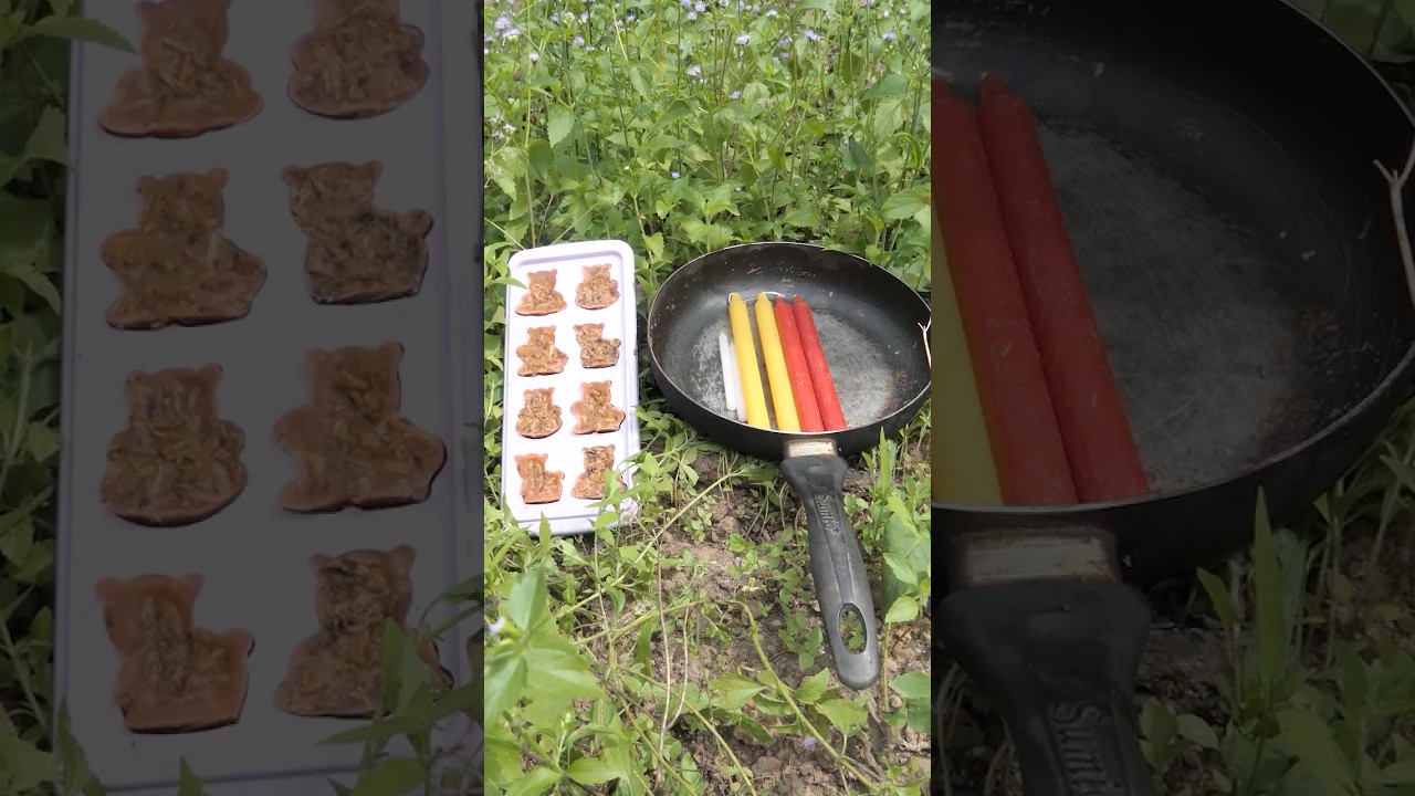 Survival Skills: Making Fire Starter From Sawdust For In Forest #outdoors #survival #bushcraft