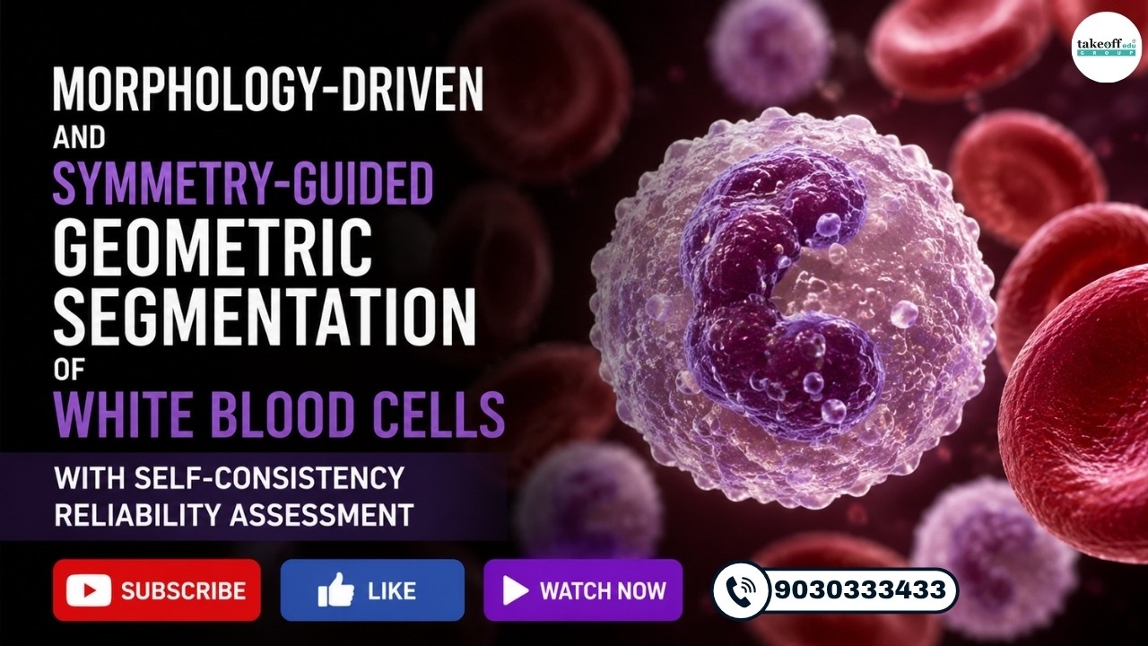 How AI Segments White Blood Cells with Near-Perfect Accuracy! 🔬