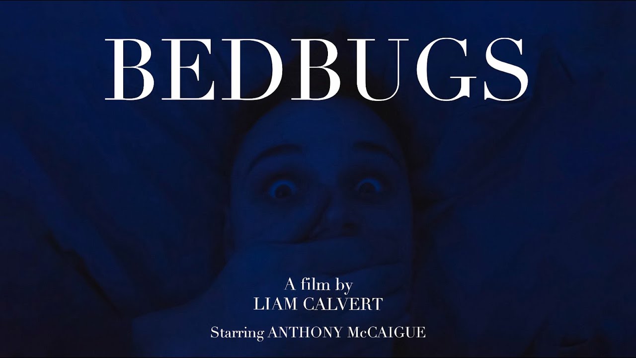 Bedbugs