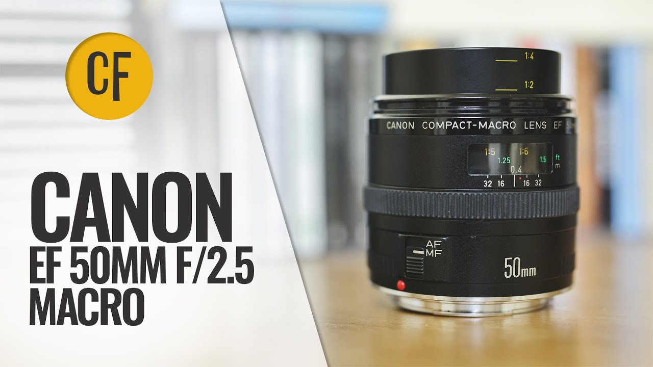 Canon EF 50mm f/2.5 Compact Macro lens review