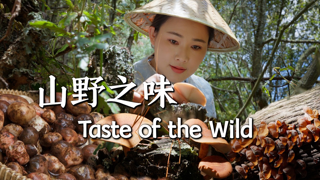 Taste of the Wild — Mountain Flavors of Yunnan After the Rain【滇西小哥】