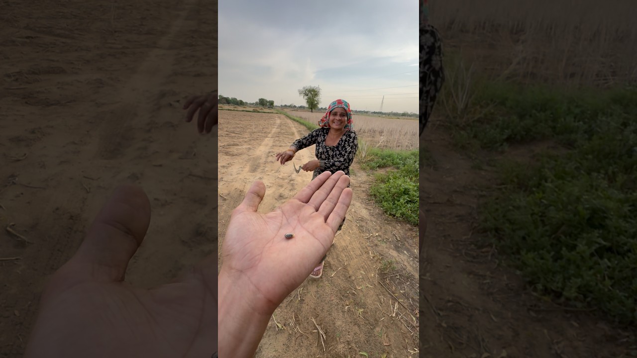 Aaj khatarnak saap samne aa gya #minivlog #dailyshorts #shorts #family #village