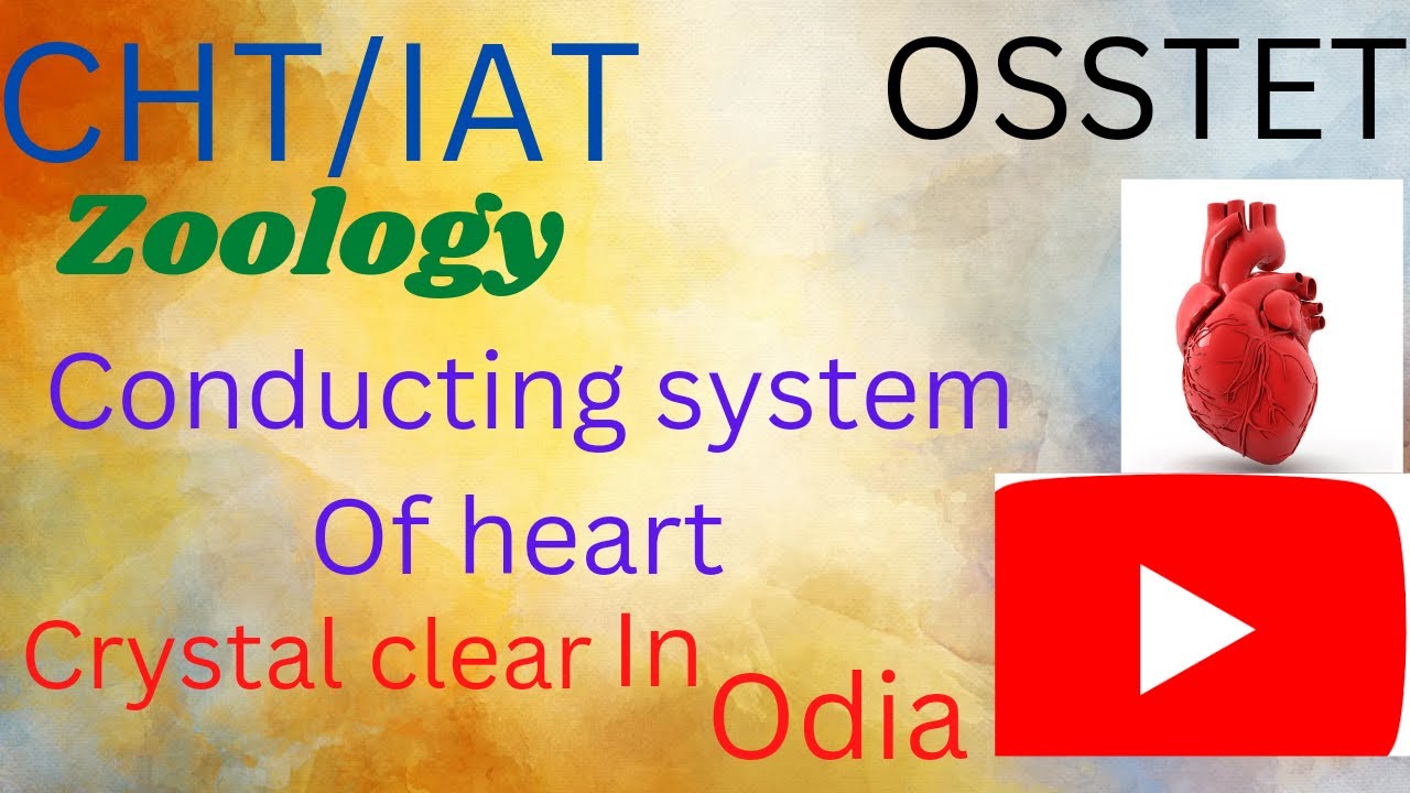 Blood p-4 || Conducting System of Heart || Internal structure || Crystal clear concept..