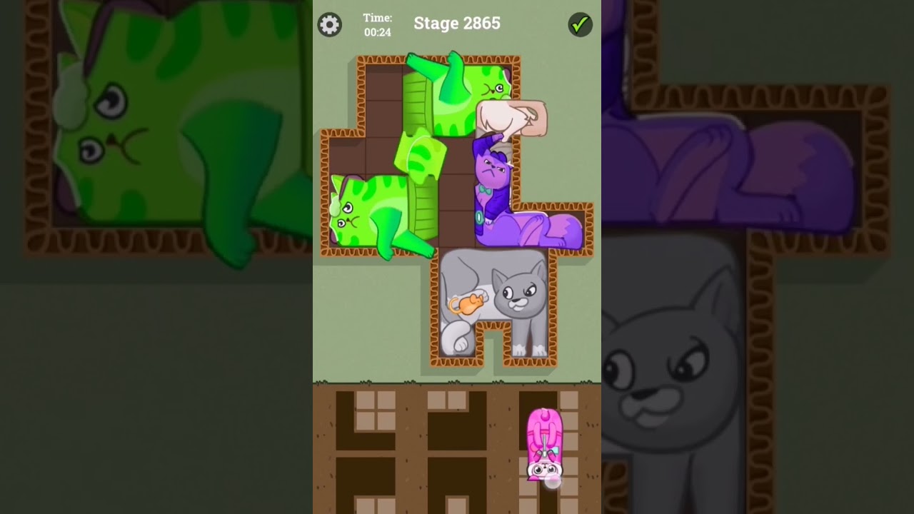 The Cutie cats Amazing walkthrough game 2865 #shortvideo #trending