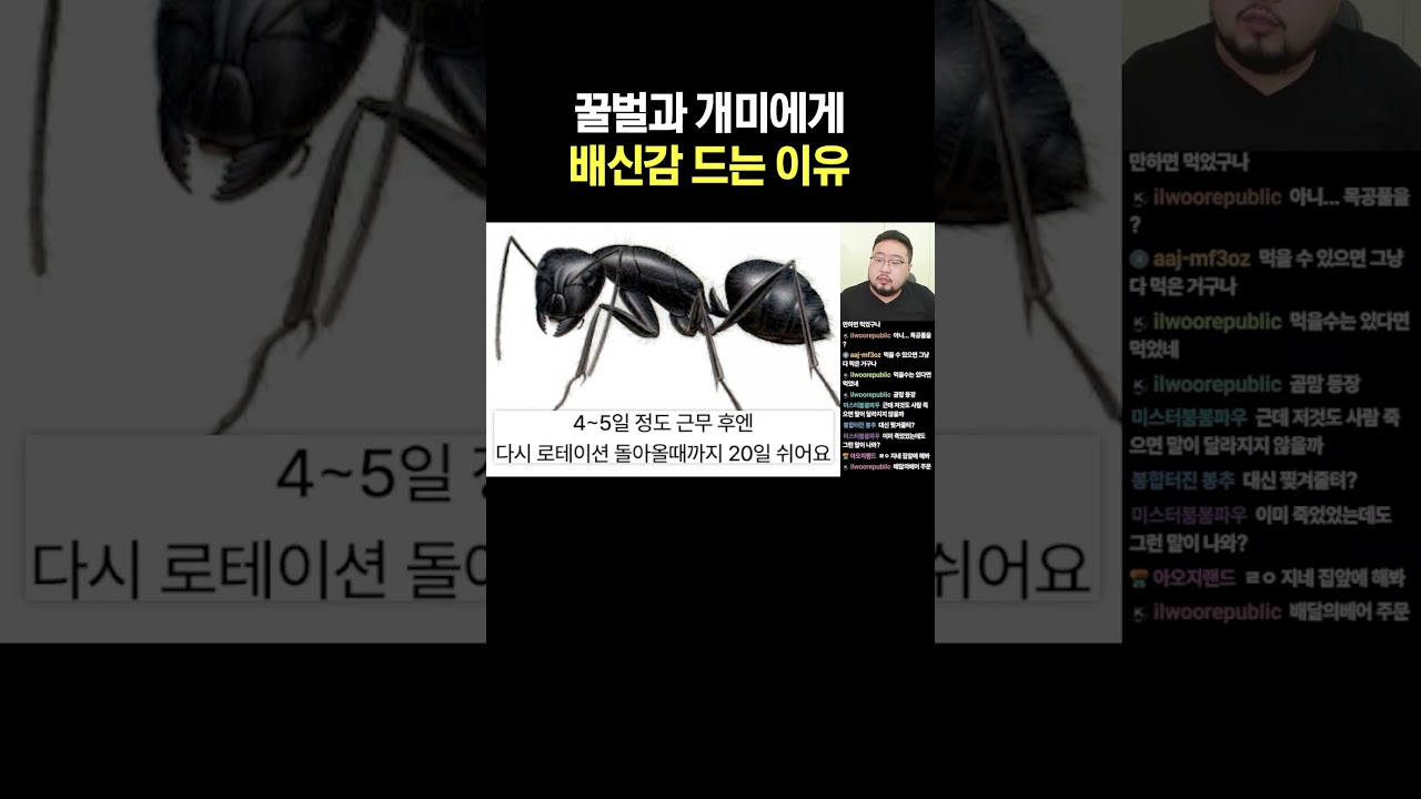 꿀벌과 개미에게 배신감 드는 이유