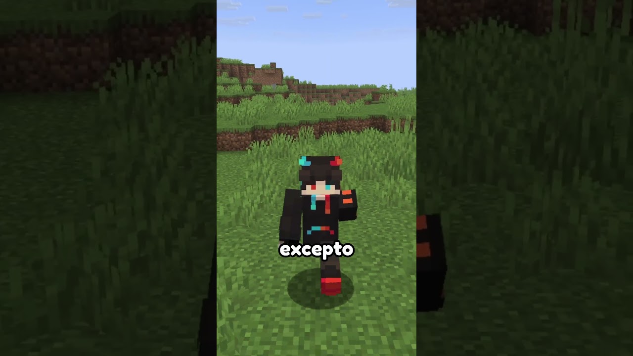 Puerta de entrada secreta en Minecraft 2