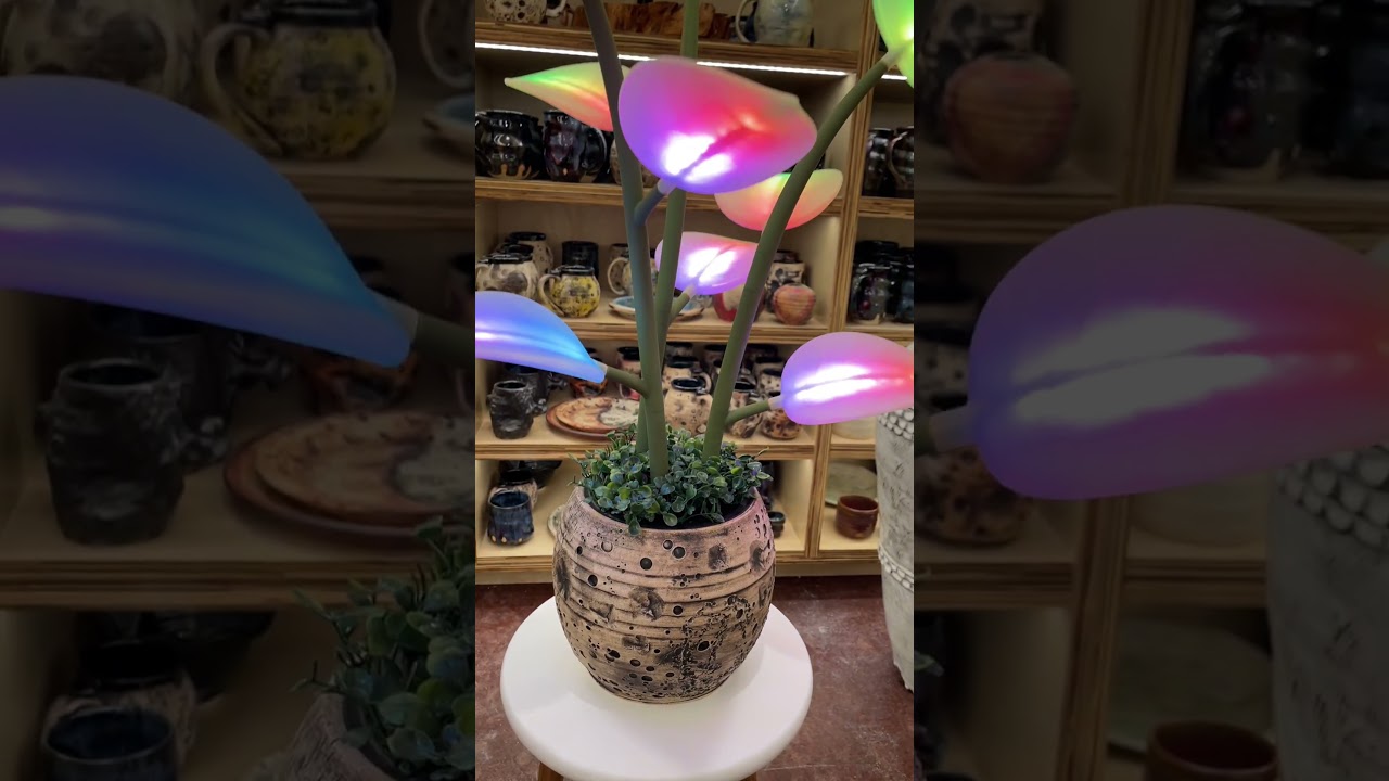 Custom "Moon Planter" I made in my cosmicmugs.com style. Testing a potential collab, flouraplant.com