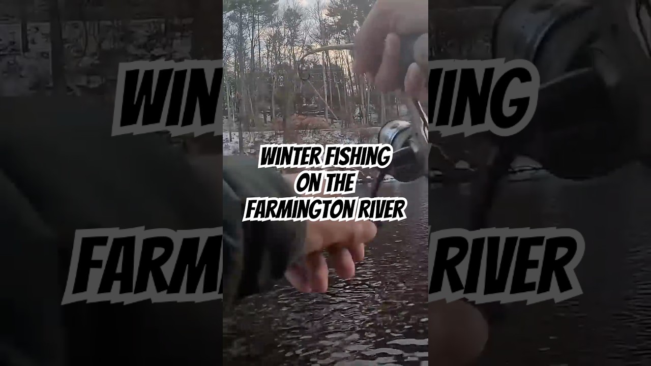 Winter Fishing on the Farmington
