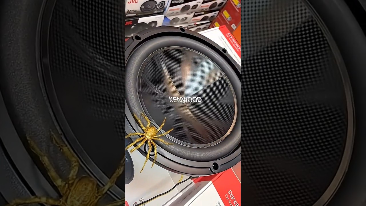 BASS BOOSTED | BASS TEST | TRANCE MUSIC | #diy #speaker #bass #music #sound #audio #dj #ai #shorts
