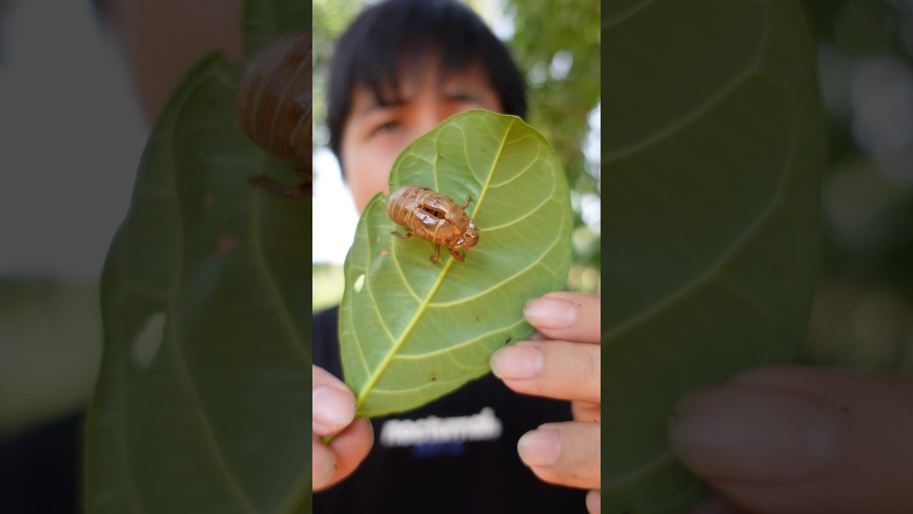 Mukbang icon kinh dị #shorts #food