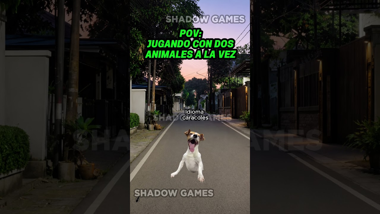 Jugando con dos animales a la vez #storytime #humor #funny