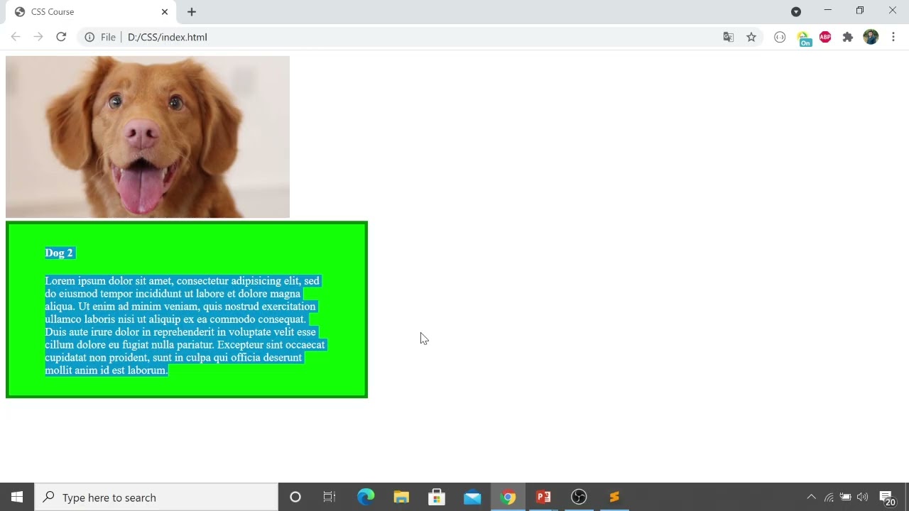 CSS Myanmar 18. Basic - Box Model (မြန်မာ)