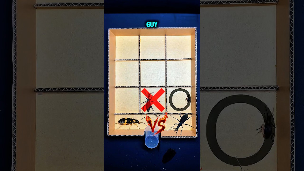 Bombardier Beetle vs Giant Ant 🐞🐜 | Tic-Tac-Toe Maze Challenge | Who’s Smarter?