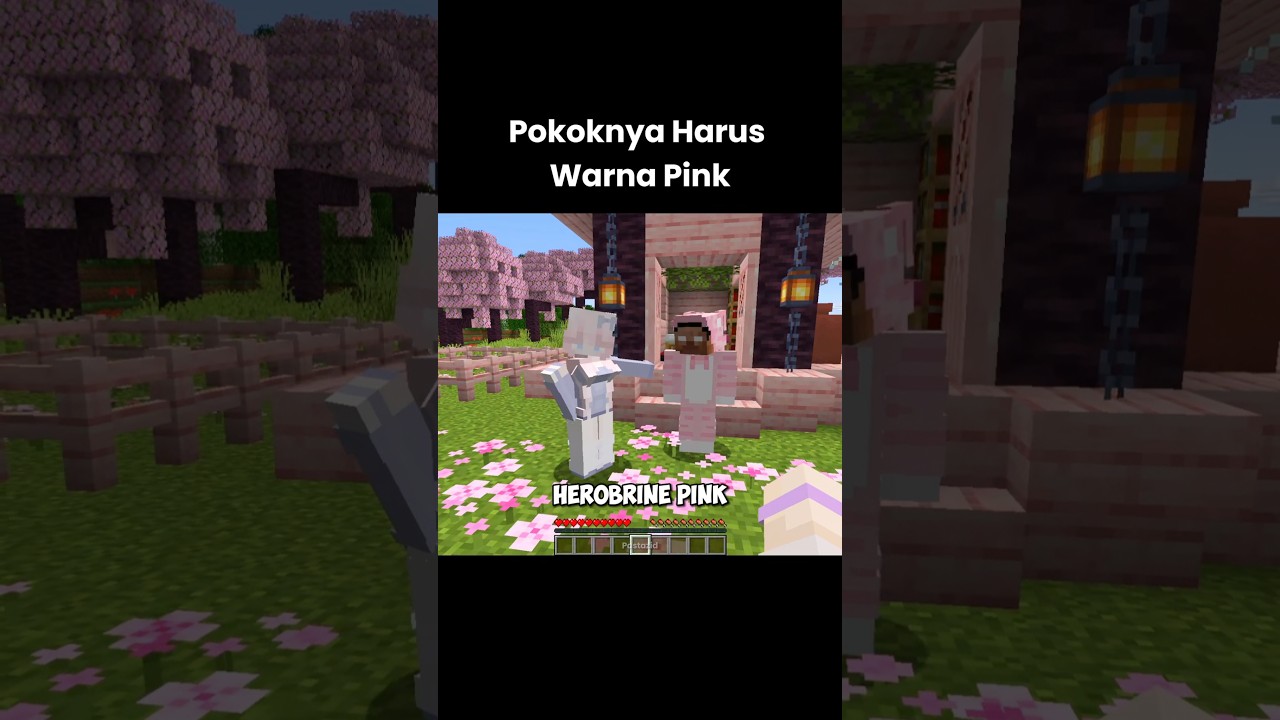POV Ketika Semua Nya Berubah Jadi Warna Pink Di Minecraft