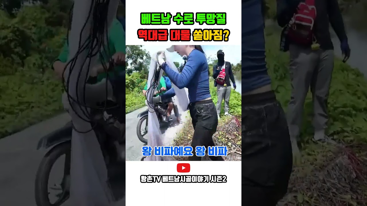 베트남 수로 투망질 역대급 대물 쏟아짐