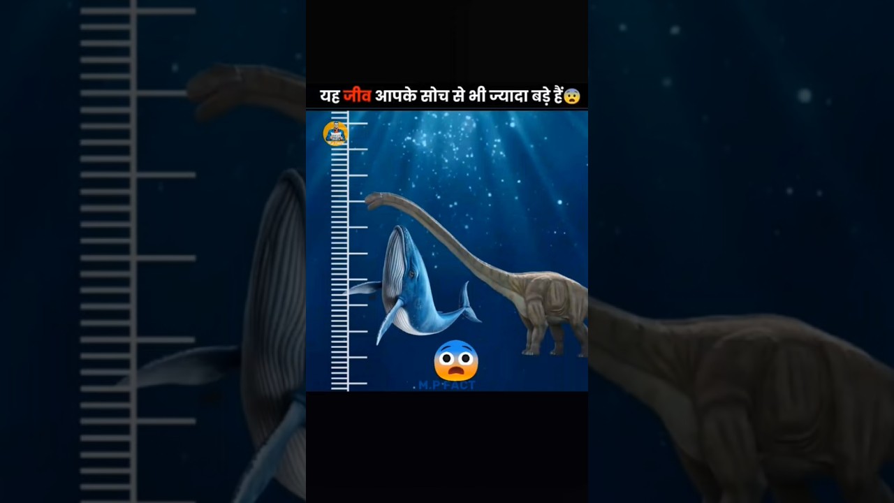 The Biggest Animals Ever 😰