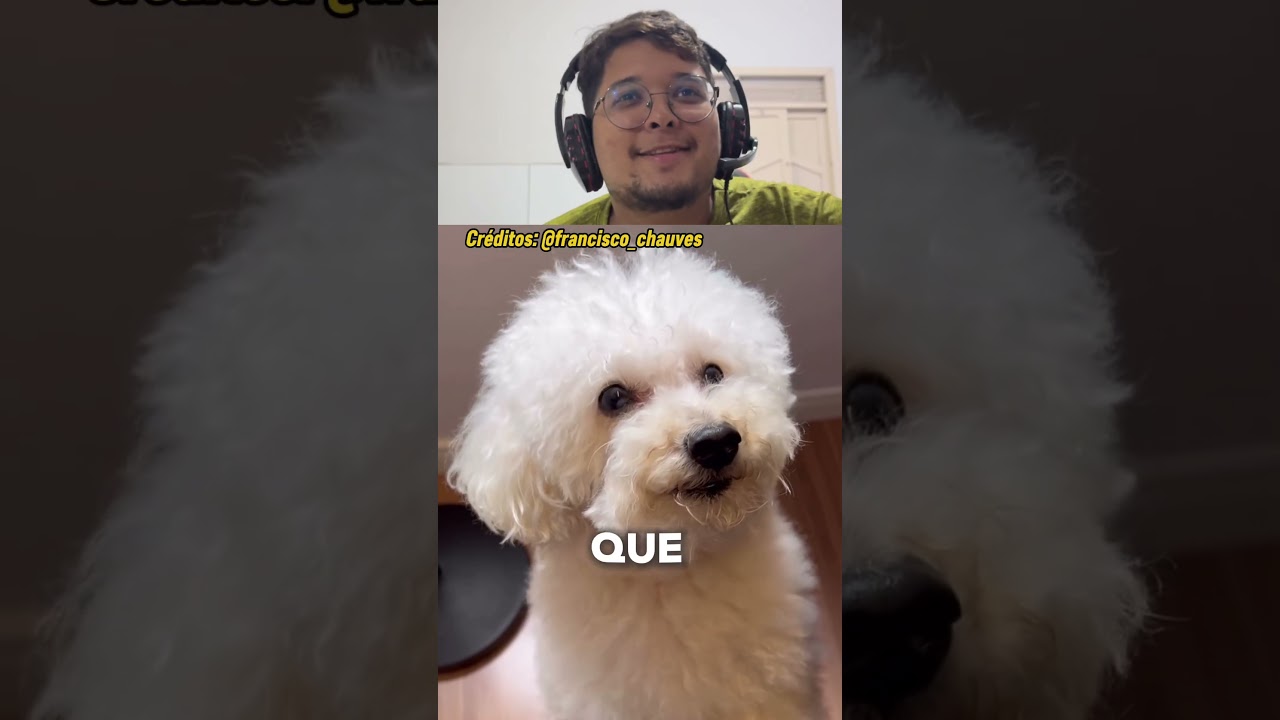 SÓ ACEITO CURTIDAS DE QUEM AMA CACHORROS 🥹 #familia #cachorro #pets #youtubeshorts #shorts
