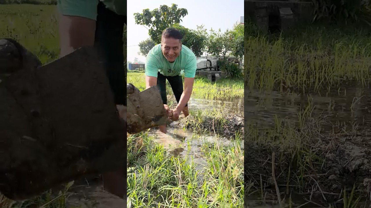 Aaj engine chalakar ki jwar bone ki taiyari #phadilifestyle #minivlog #vlog #dailyvlog