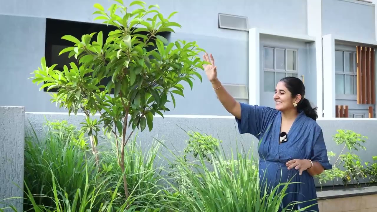 Growing Fruit Trees on Terrace | Landscaping in Mumbai