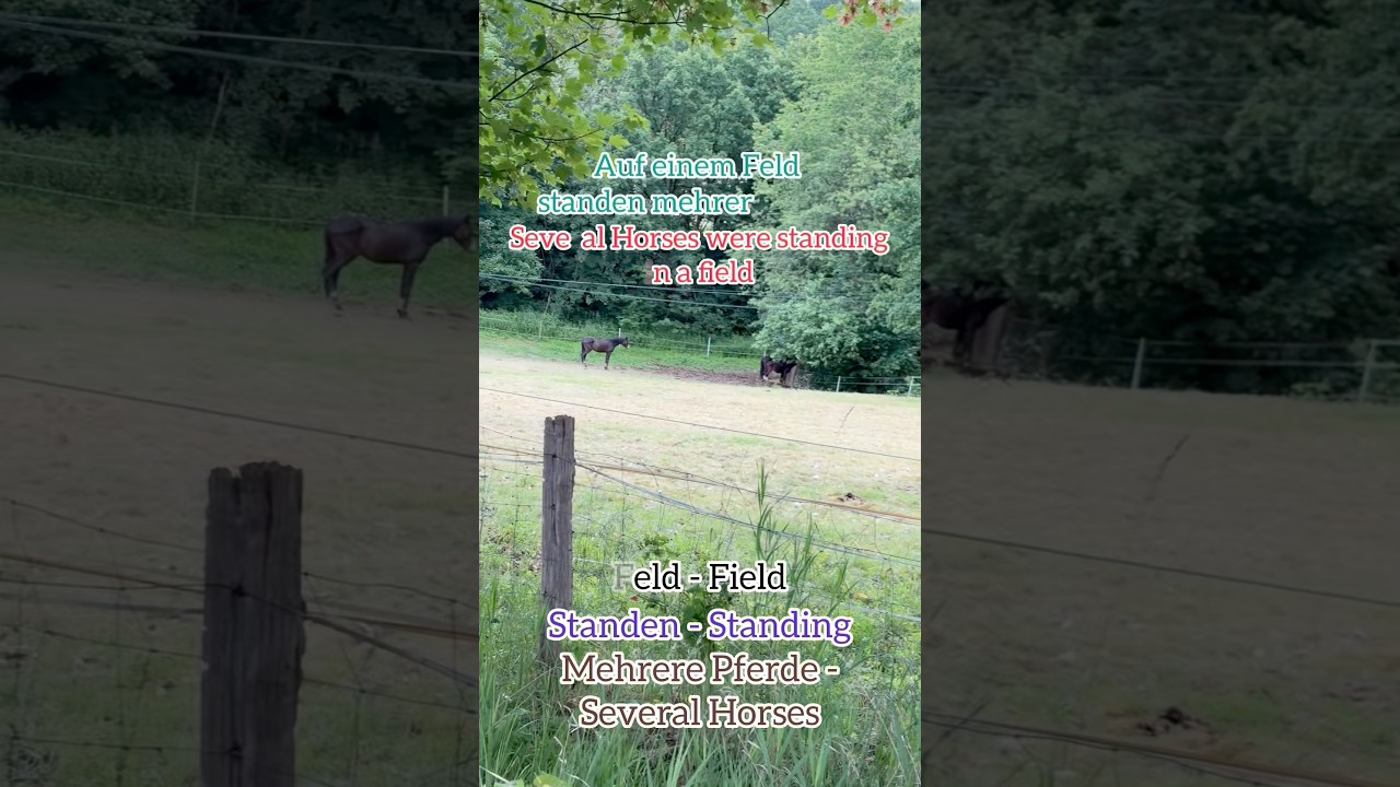 Learning Horse Riding | LGWM | For Pro🔥 #germany #german #language #learning #horse #horseriding