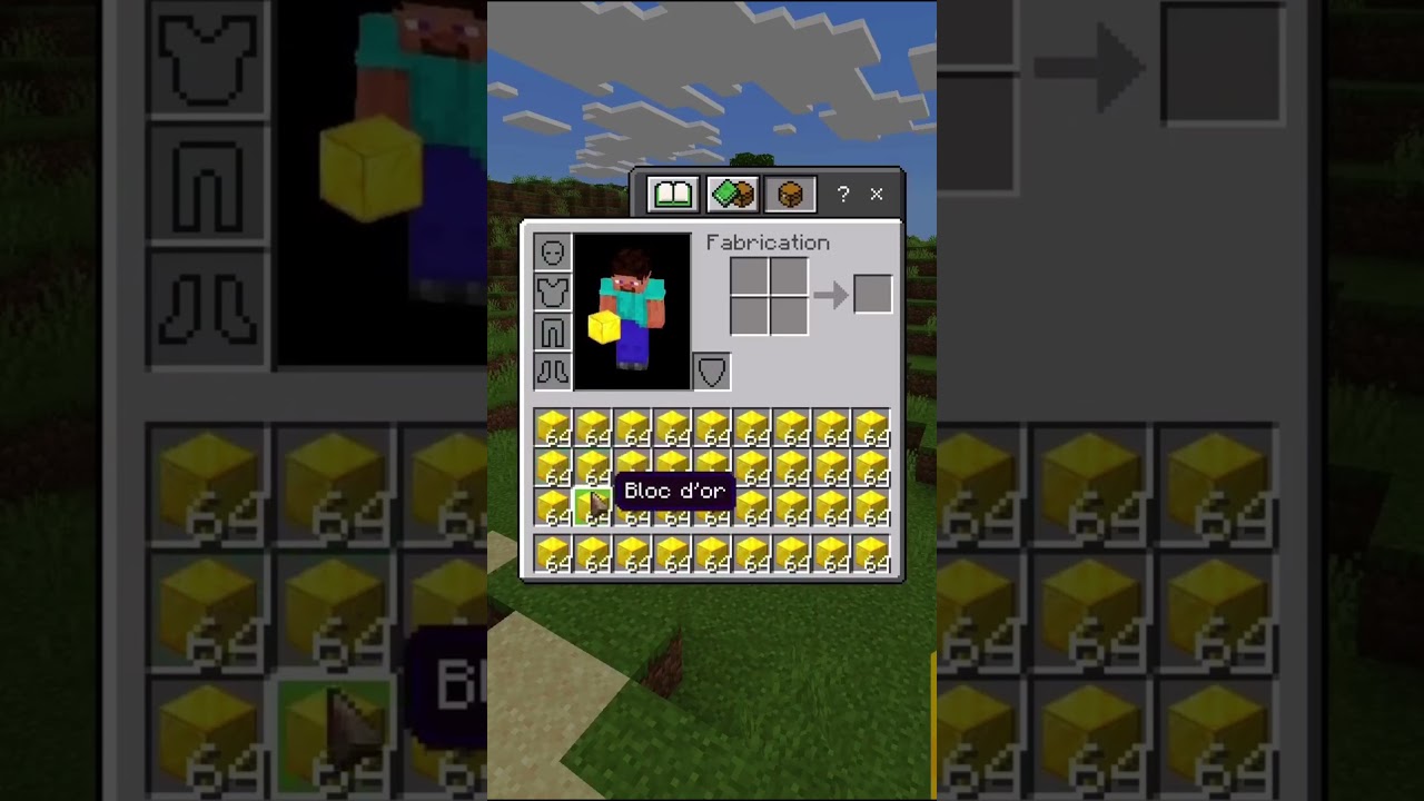 Stive est t'il VRAIMENT si spécial ? #minecraft #gaming #bedrock #petitcréateur