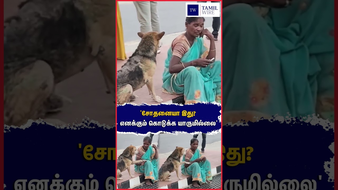 'சோதனையா இது? எனக்கும் கொடுக்க யாருமில்லை' #Dog #Dogs #Pets #Petanimals #Woman #Food #Hungry #viral