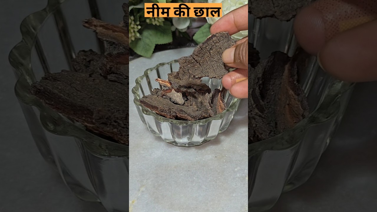 नीम, पीपल, बरगद, अर्जुन इत्यादि की छाल के फायदे🌳#gk #gkquiz #gkquestion #shorts #thealth #healthtips