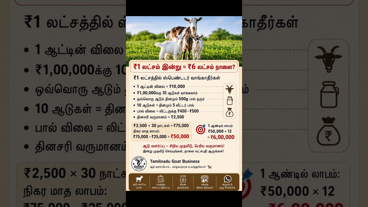 ஆடு வளர்ப்பு சிறிய முதலீடு பெரிய லாபம் #goatfarmingtamil #tamilbusiness #goat #goatfarm #buyingtrue