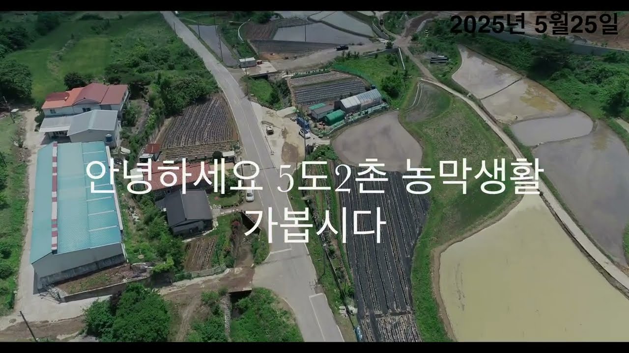 2025년 5월 26일