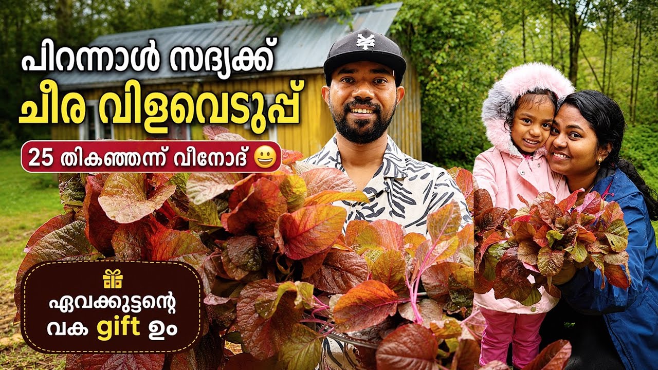 ❤️🥰അച്ഛക്ക് പിറന്നാൾ സദ്യ നാടൻ ഊണ് | birthday #mallusinfinland #malayalam #familyvlog 