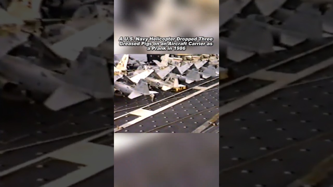 The Day the U.S. Navy Dropped Three Greased Pigs on an Aircraft Carrier