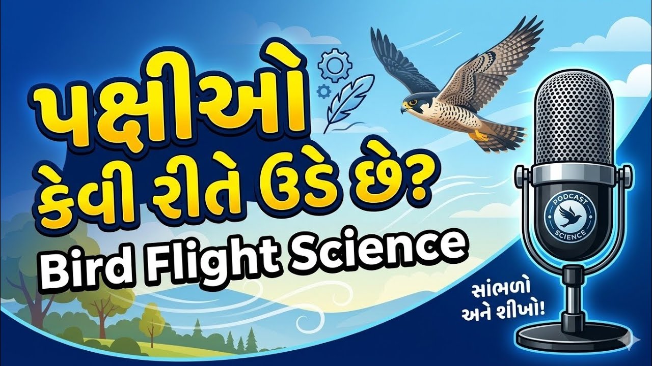 પક્ષીઓ કેવી રીતે ઉડે છે? | How Do Birds Fly? Podcast