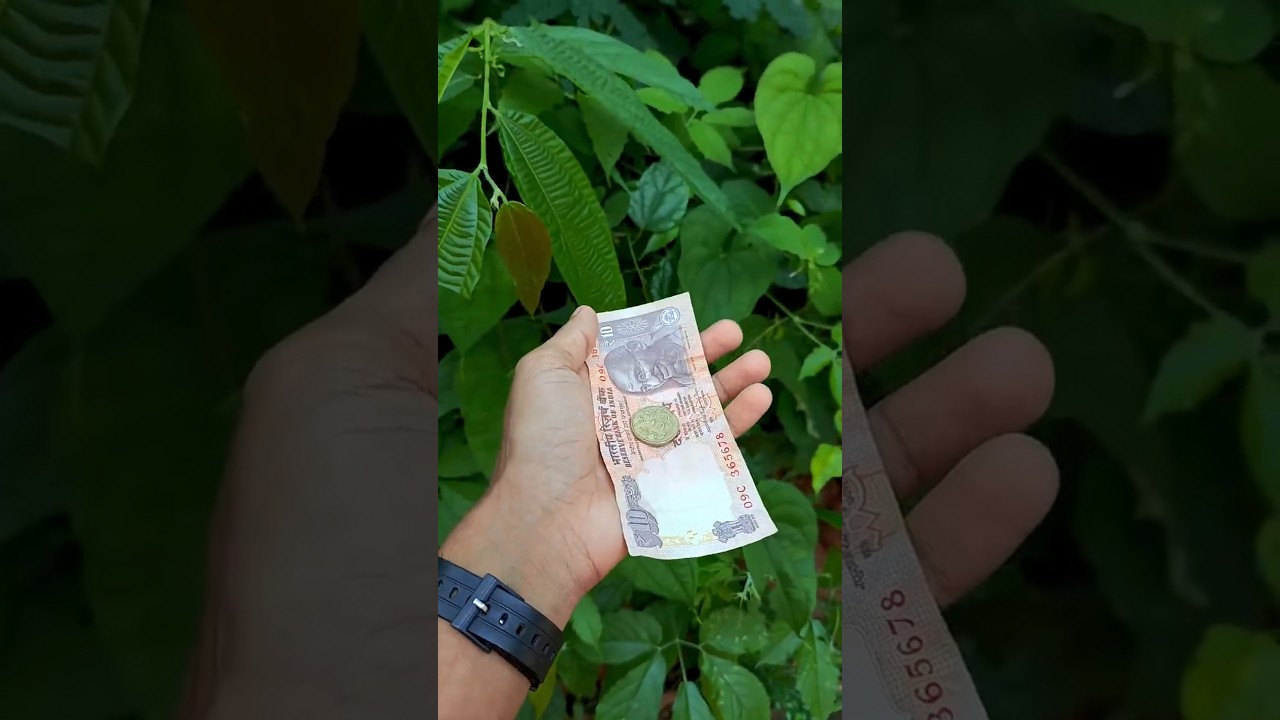 ₹20 രൂപ ചലഞ്ച് 🤗❤️🩹| #shorts #vlog #challenge