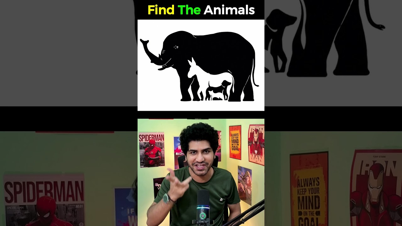 Only 1% Can Find All the Animals 😱 #shorts