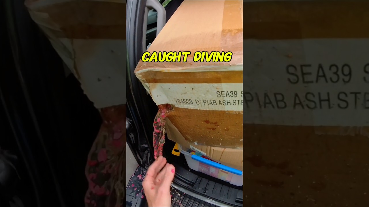 I got caught dumpster diving and this happened 🤮! THE END #dumpsterdiving