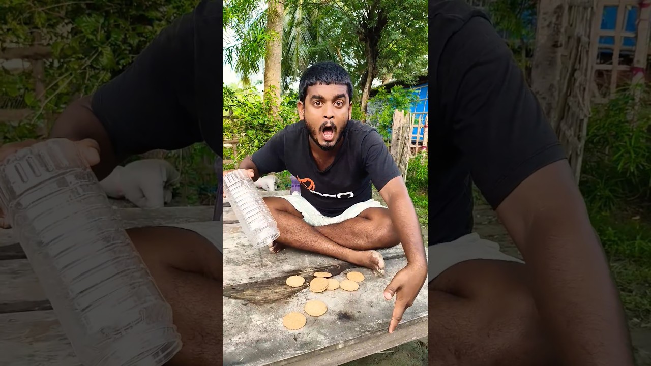 Sorry cat#shorts#youtubeshorts uy647