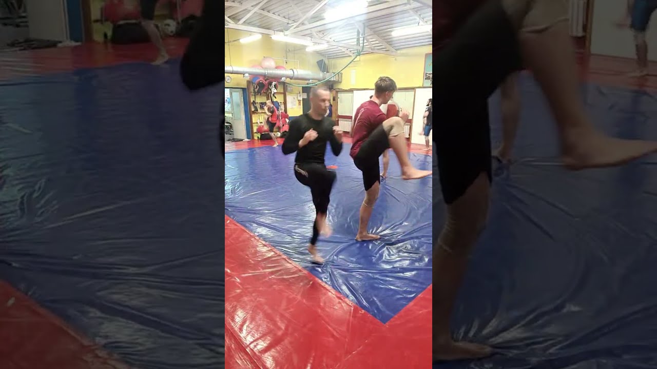 MMA Training