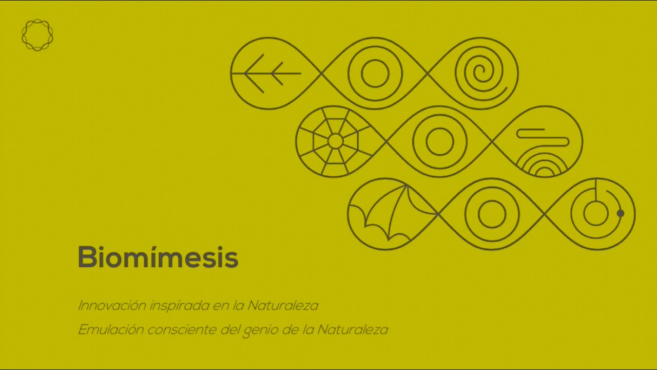 Biomímesis y Diseño Inspirado en la Naturaleza