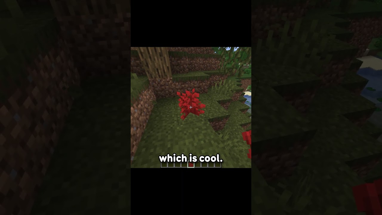 i think the red shrub is cool- dont get confused