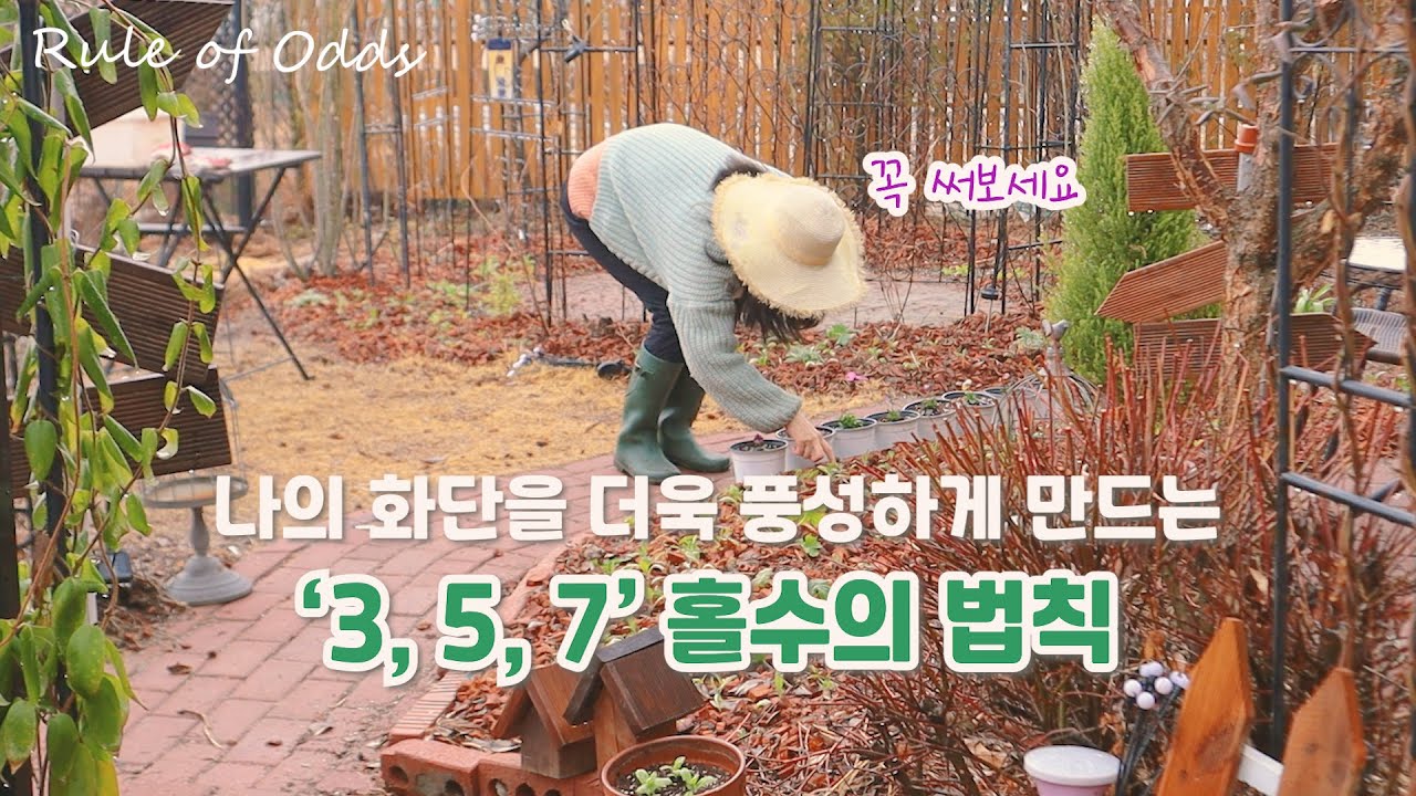 정원 화단을 더욱 풍성하게 만들어 주는 아주 아주 간단한 규칙! 꼭 써보세요.