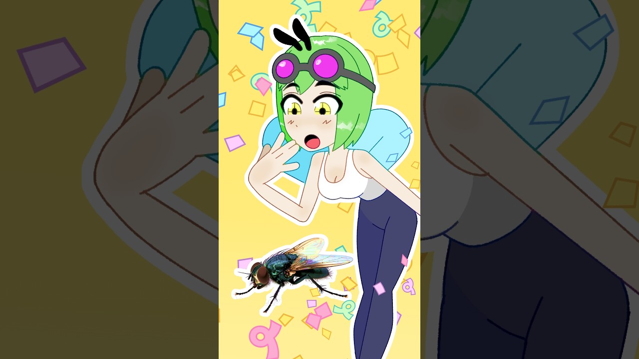 More Flies?!