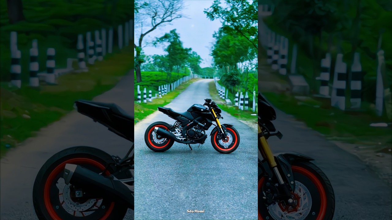 My Dream MT 15 💖🎀 #shorts #bikereels #bikelife #motorcycle #mt15 #sdomomi