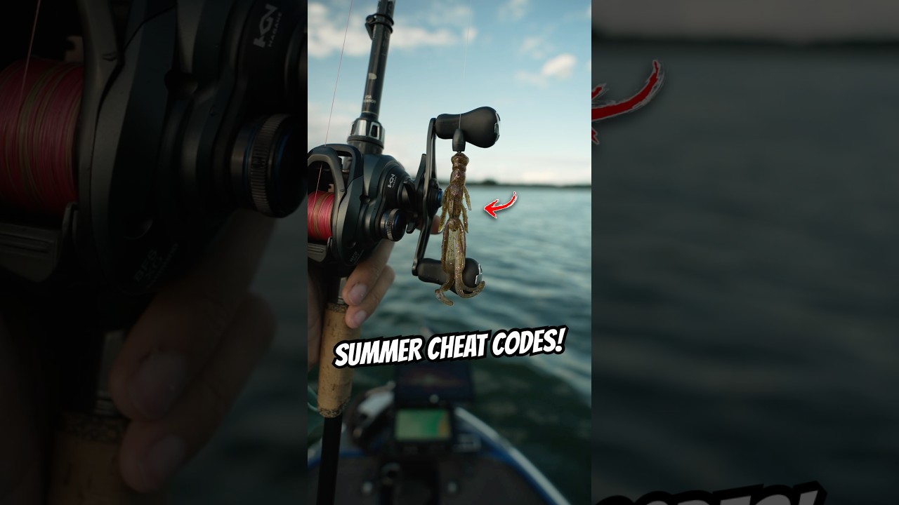 The 3 BEST Summer Bass Fishing Baits 🔥🎣 #fishing