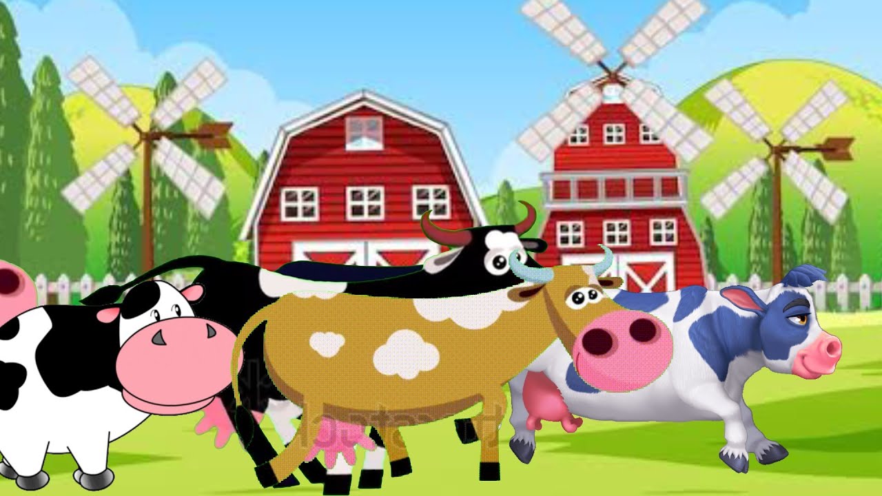 Animals Cow | interesting facts about cows ‼️