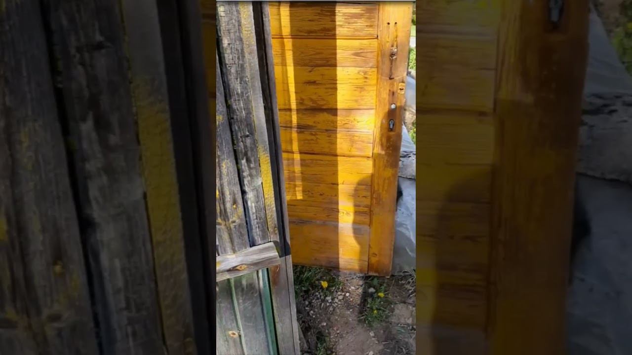 ✅ Build a Small Warm House to Prevent Disabled Woman from Becoming Homeless #shorts
