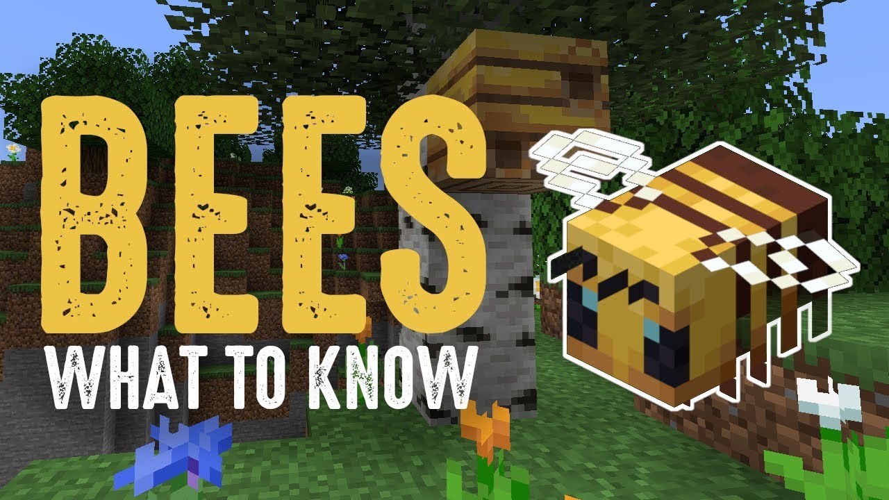 What You Should Know About Bees in Minecraft 1.15 🐝