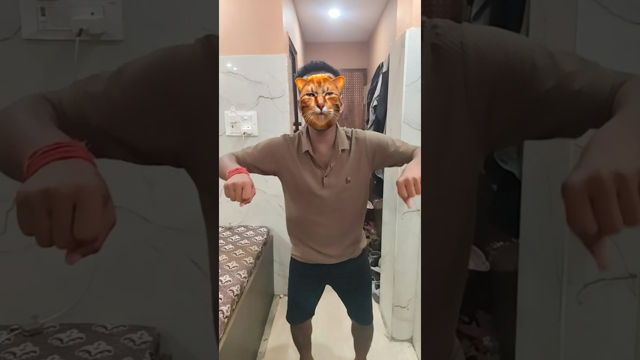 القطة المضحكه | رقص القطط مضحك قطة كيوت قطة ترقص كوميدي رقص القطة#ideas #cat 😾😼😸k723