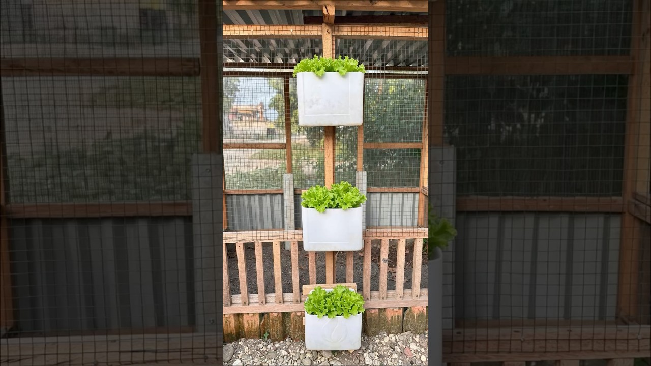 DIY Vertical Planters From Recycled Containers #gardening #backyardgardening