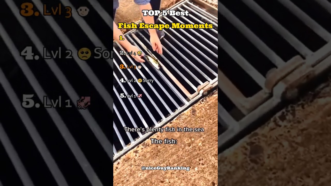 Top 5 Fish Escape Moments 🎣  #fishing  #tiktok  #best