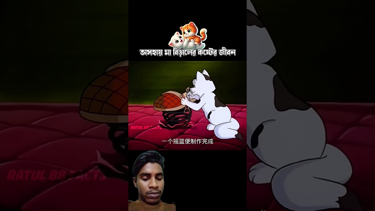 বিড়ালের কষ্টের জীবন #3danimation #facts #cartoon #8millionviews #animation #funny #memes #comedy